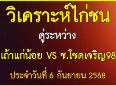 วิเคราะห์ไก่ชน คู่ระหว่าง เถ้าแก่น้อย VS ช.โชคเจริญ98 ประจำวันที่ 6 กันยายน 2568