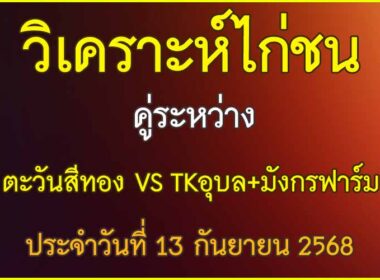 วิเคราะห์ไก่ชน คู่ระหว่าง ตะวันสีทอง VS TKอุบล+มังกรฟาร์ม ประจำวันที่ 13 กันยายน 2568