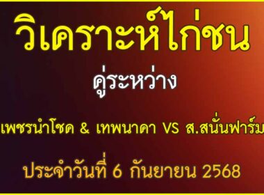 วิเคราะห์ไก่ชน คู่ระหว่าง เพชรนำโชค & เทพนาคา VS ส.สนั่นฟาร์ม ประจำวันที่ 6 กันยายน 2568
