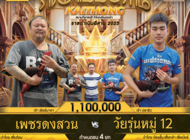 เพชรดงสวน  🆚  วัยรุ่นหมู่12