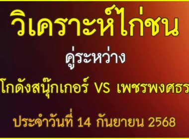 วิเคราะห์ไก่ชน คู่ระหว่าง โกดังสนุ๊กเกอร์  vs เพชรพงศธร ประจำวันที่ 14 กันยายน 2568