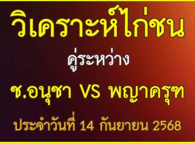 วิเคราะห์ไก่ชน คู่ระหว่าง พญาครุฑ VS ช.อนุชา ประจำวันที่ 14 กันยายน 2568