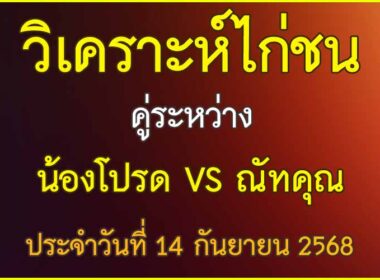 วิเคราะห์ไก่ชน คู่ระหว่าง น้องโปรด VS ณัทคุณ ประจำวันที่ 14 กันยายน 2568