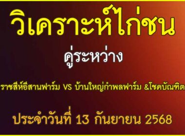 วิเคราะห์ไก่ชน คู่ระหว่าง ราชสีห์อีสานฟาร์ม  VS บ้านใหญ่กำพลฟาร์ม &โชคบัณฑิต ประจำวันที่ 13 กันยายน 2568