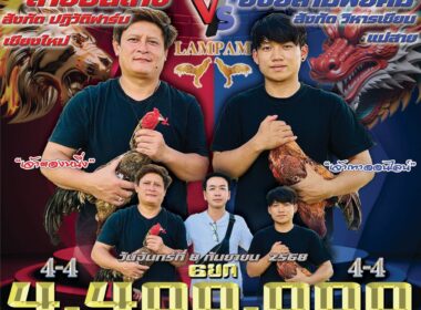 สายบันเทิง  🆚  อั้งยี่สามพยัคฆ์