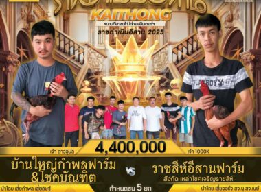 บ้านใหญ่กำพลฟาร์ม&โชคบัณฑิต    🆚  ราชสีห์อีสานฟาร์ม
