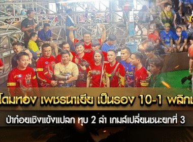 เจ้าโดมทอง เพชรนาเยีย เป็นรอง 10-1 พลิกชนะ