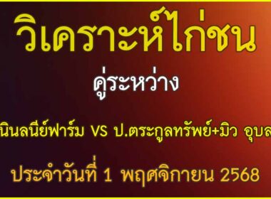 วิเคราะห์ไก่ชน คู่ระหว่าง ป.ตระกูลทรัพย์+มิว อุบล สังกัด ผู้สาวบ้าไก่ VS นินลนีย์ฟาร์ม ประจำวันที่ 1 พฤศจิกายน 2568