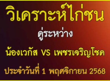 วิเคราะห์ไก่ชน คู่ระหว่าง น้องเวกัส สังกัด ธนาธร VS เพชรเจริญโชค ประจำวันที่ 1 พฤศจิกายน 2568