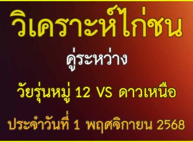 วิเคราะห์ไก่ชน คู่ระหว่าง วัยรุ่นหมู่ 12 VS ดาวเหนือ ประจำวันที่ 1 พฤศจิกายน 2568