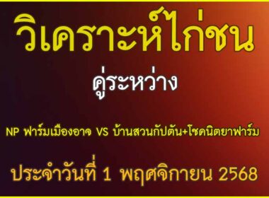 วิเคราะห์ไก่ชน คู่ระหว่าง NP ฟาร์มเมืองอาจ VS บ้านสวนกัปตัน+โชคนิตยาฟาร์ม น้องซันเดย์ (หมอบุญ) ประจำวันที่ 1พฤศจิกายน 2568