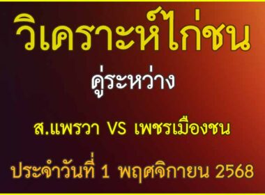 วิเคราะห์ไก่ชน คู่ระหว่าง ส.แพรวา VS เพชรเมืองชน ประจำวันที่ 1 พฤศจิกายน 2568