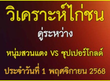 วิเคราะห์ไก่ชน คู่ระหว่าง หนุ่มสวนแตง VS ซุปเปอร์โกลด์ สังกัด น้องสองไท ประจำวันที่ 1 พฤศจิกายน 2568