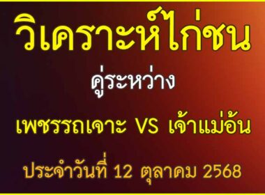 วิเคราะห์ไก่ชน คู่ระหว่าง เพชรรถเจาะ  VS  เจ้าแม่อ้น ประจำวันที่ 12 ตุลาคม 2568