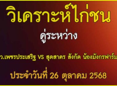 วิเคราะห์ไก่ชน คู่ระหว่าง ว.เพชรประเสริฐ VS สุดสาคร สังกัด น้องมังกรฟาร์ม ประจำวันที่ 26 ตุลาคม 2568