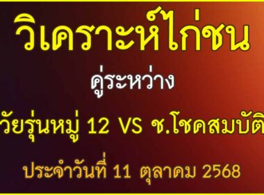 วิเคราะห์ไก่ชน คู่ระหว่าง วัยรุ่นหมู่ 12 VS ช.โชคสมบัติ ประจำวันที่ 11 ตุลาคม 2568