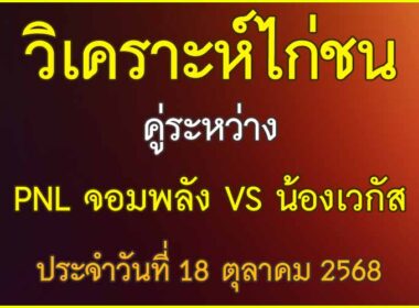 วิเคราะห์ไก่ชน คู่ระหว่าง PNL จอมพลัง VS น้องเวกัส สังกัด ธ.ธนาธร ประจำวันที่ 18 ตุลาคม 2568