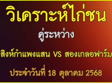 วิเคราะห์ไก่ชน คู่ระหว่าง สิงห์กำแพงแสน VS สองเกลอฟาร์ม ประจำวันที่ 18 ตุลาคม 25668