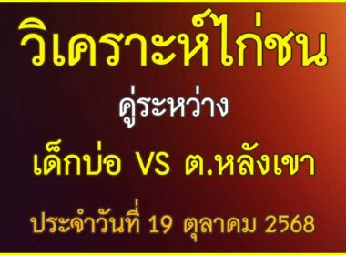วิเคราะห์ไก่ชน คู่ระหว่าง เด็กบ่อ VS ต.หลังเขา ประจำวันที่ 19 ตุลาคม 2568
