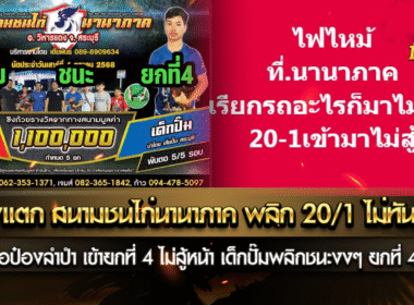 สำเพ็งแตก ณ สนามชนไก่นานาภาค พลิก 20/1