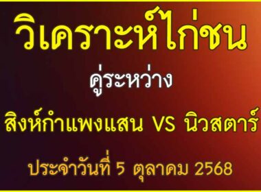 วิเคราะห์ไก่ชน คู่ระหว่าง นิวสตาร์ VS สิงห์กำแพงแสน ประจำวันที่ 5 ตุลาคม 2568