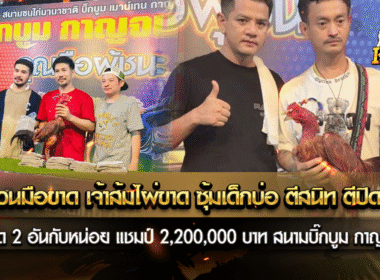 ใครสวนมือขาด เจ้าส้มไผ่ขาด ซุ้ม เด็กบ่อ ตีสนิท ตีปิด ตีจำ