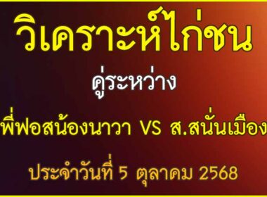 วิเคราะห์ไก่ชน คู่ระหว่าง ส.สนั่นเมือง VS พี่ฟอสน้องนาวา ประจำวันที่ 5 ตุลาคม 2568