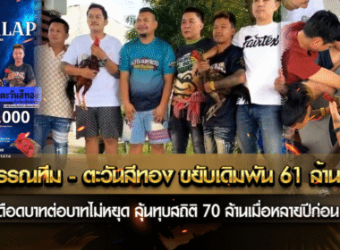 มีสุวรรณทีม – ตะวันสีทอง ขยับเดิมพัน 61 ล้านบาท