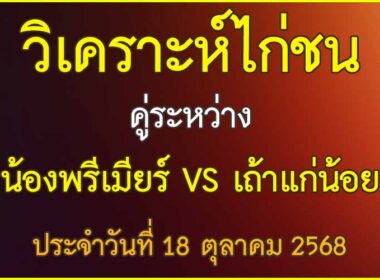 วิเคราะห์ไก่ชน คู่ระหว่าง  เถ้าแก่น้อย VS น้องพรีเมียร์ ประจำวันที่ 18 ตุลาคม 2568