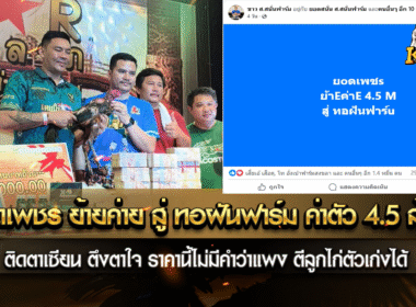 เจ้ายอดเพชร ย้ายค่ายสู่ ทอฝันฟาร์ม ค่าตัว 4,500,000 บาท