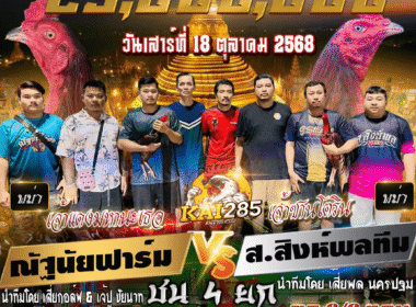 ณัฐนัยฟาร์ม     🆚  ส.สิงห์พลทีม