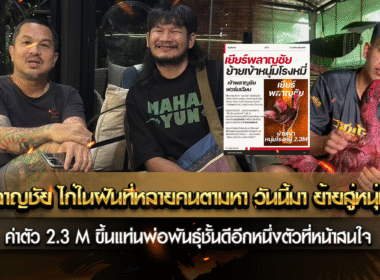 เยียร์พลาญชัย ไก่ในฝันที่หลายคนตามหา วันนี้มา ย้ายสู่หนุ่มโรงหมี่