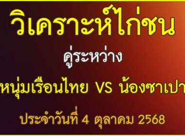 วิเคราะห์ไก่ชน คู่ระหว่าง หนุ่มเรือนไทย VS น้องซาเปา ประจำวันที่ 4 ตุลาคม 2568