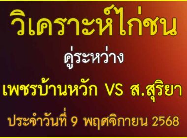 วิเคราะห์ไก่ชน คู่ระหว่าง ส.สุริยา VS เพชรบ้านหวัก ประจำวันที่ 8 พฤศจิกายน 2568