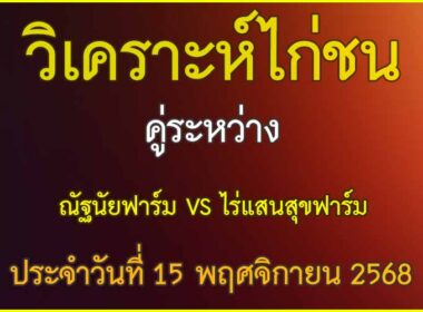 วิเคราะห์ไก่ชน คู่ระหว่าง ไร่แสนสุขฟาร์ม  VS ณัฐนัยฟาร์ม  ประจำวันที่ 15 พฤศจิกายน 2568