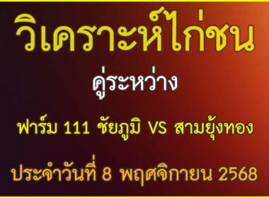 วิเคราะห์ไก่ชน คู่ระหว่าง  ฟาร์ม 111 ชัยภูมิ VS สามยุ้งทอง ประจำวันที่ 8 พฤศจิกายน 2568