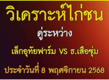 วิเคราะห์ไก่ชน คู่ระหว่าง เล็กอุทัยฟาร์ม VS ธ.เสือซุ่ม  ประจำวันที่ 8 พฤศจิกายน 2568
