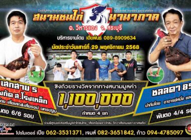 เสกสาย5 🆚 ชลลดา 89