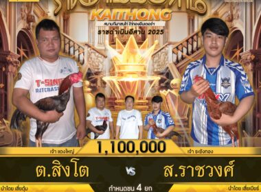 ต.สิงโต   🆚   ส.ราชวงศ์
