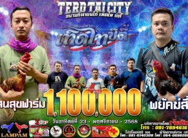 ไร่แสนสุขฟาร์ม 🆚 พยัคฆ์สี่ทิศ