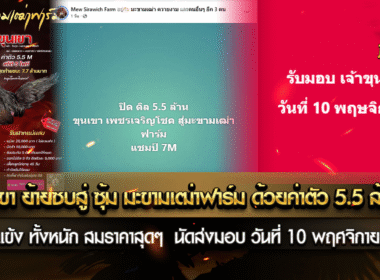 เจ้าขุนเขา ย้ายซบสู่ ซุ้ม มะขามเฒ่า ด้วยต่าตัว 5.5 ล้านบาท