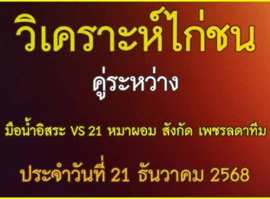 วิเคาะห์ไก่ชน คู่ระหว่าง มือน้ำอิสระ VS 21 หมาผอม สังกัด เพชรลดาทีม ปจะวันที่ 21 ธันวาคม 2568