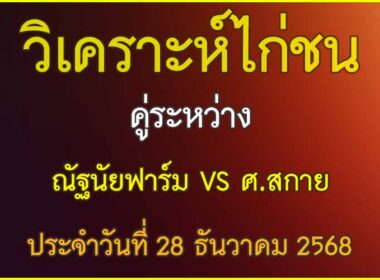 วิเคราะห์ไก่ชน คู่ระหว่าง ศ.ส.กาย VS ณัฐนัยฟาร์ม ประจำวันที่ 28 ธันวาคม 2568