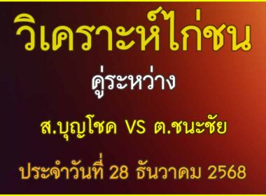 วิเคราะห์ไก่ชน คู่ระหว่าง ต.ชนะชัย VS ส.บุญโชค ประจำวันที่ 28 ธันวาคม 2568