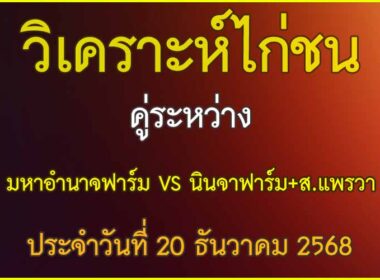 วิเคาะห์ไก่ชน คู่ระหว่าง มหาอำนาจฟาร์ม VS นินจาฟาร์ม+ส.แพรวา ปจะวันที่ 20 ธันวาคม 2568
