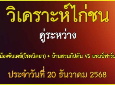 วิเคาะห์ไก่ชน คู่ระหว่าง น้องซันเดย์ (โชคนิตยา) + บ้านสวนกัปตัน สังกัด หมอบุญ VS แชมป์ฟาร์ม ประจำวันที่ 20 ธันวาคม 2568