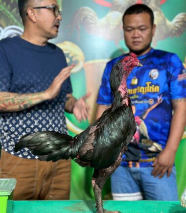 เพชรเจริญโชค