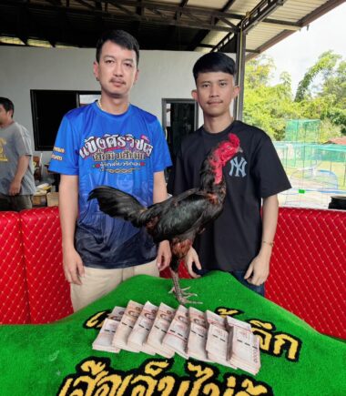 ไร่แสนสุขฟาร์ม นครปฐม