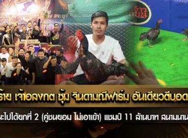 โคตรร้าย เจ้าอลงกต ซุ้ม จินดามณีฟาร์ม อันเดียวตีบอด 2 ตา