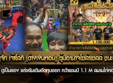 รองให้รู้จัก เจ้าโลกิ(ด่างเงินทอน)ซุ้มอำนาจโซล่าเซลล์ ชนะยกที่ 2